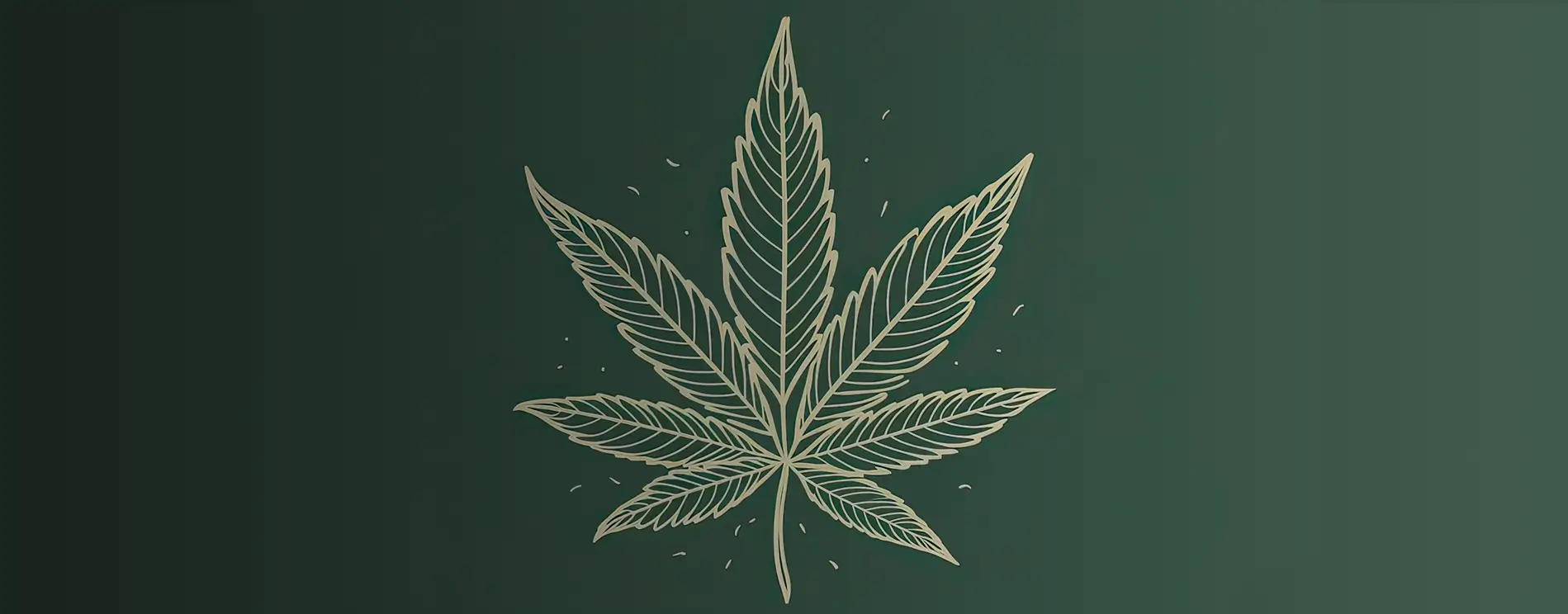 Cannabis Oil