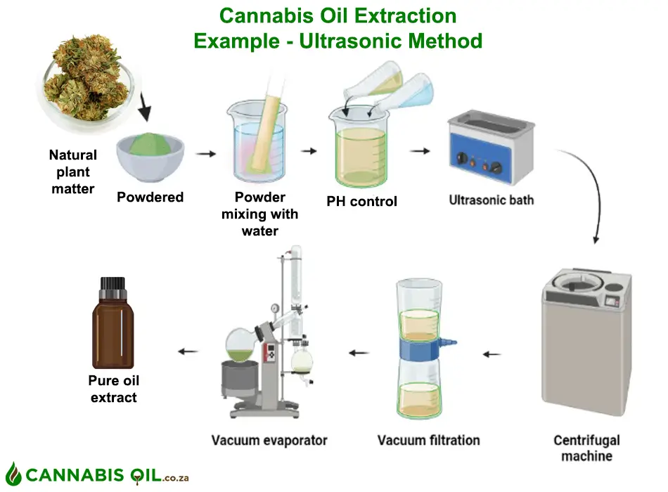 cannabis oil extraction process infographic