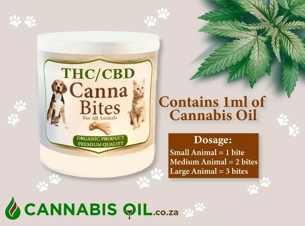 cannabis edibles pets thc cbd canna bites south africa