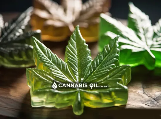 thc cbd gummies edibles extra strength south africa